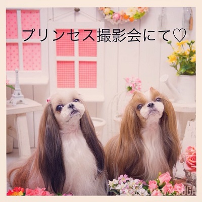 いんすた5.jpg