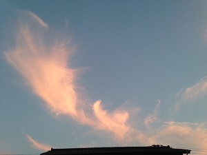 雲5.jpg